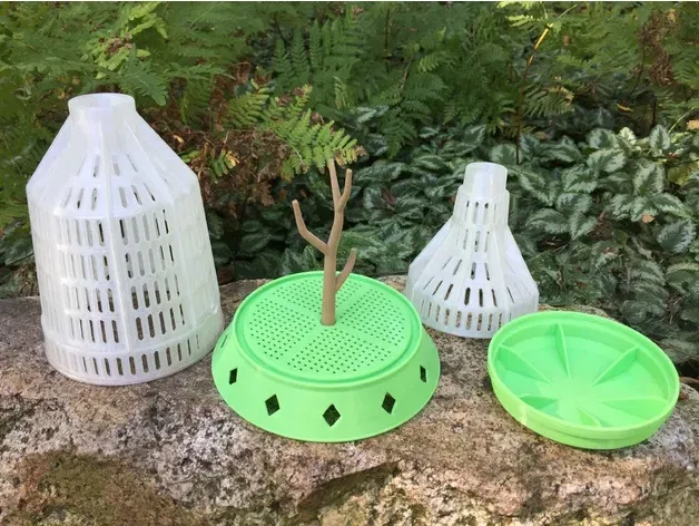 Hộp đựng côn trùng Bug Zoo Jar cho trẻ em - Image 2