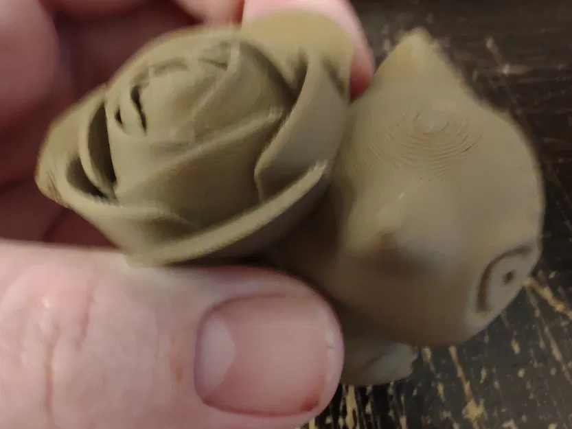 Bulbasaur có hoa hồng trên lưng cho ngày Valentine - Image 7