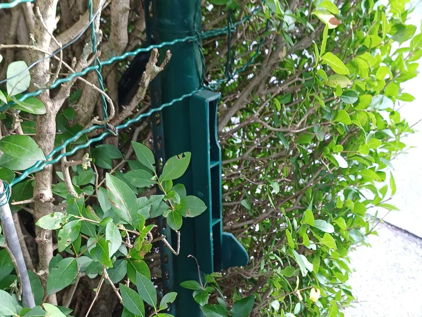 Bộ ngừng cửa vườn cải tiến với thiết kế chắc chắn - Image 3