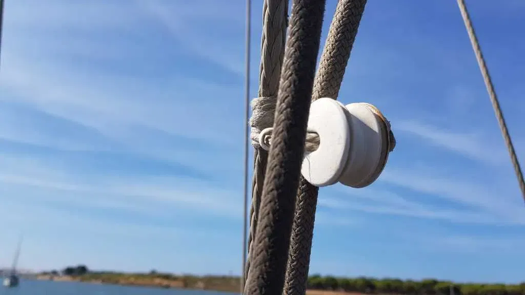 Ròng rọc dây mềm cho dây tối đa 6mm - Image 2