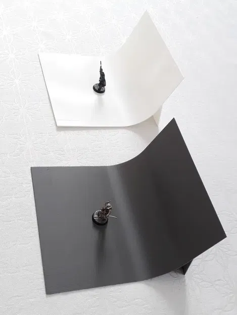 Nền ảnh chụp cho mô hình in 3D chế độ bình hoa - Image 1