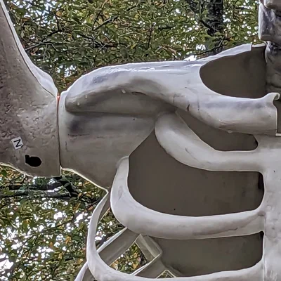 Giá đỡ vai cho bộ xương cao 12 foot