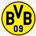 Biểu tượng Borussia Dortmund cho trang trí nội thất - Thumbnail 1