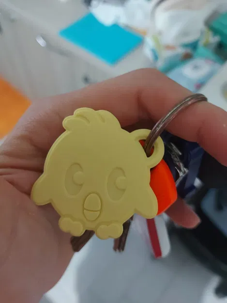 Móc khóa Hatchling với khe NFC cho đồng xu 25 mm - Image 1