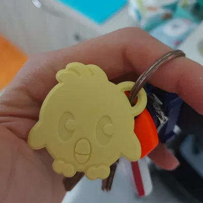 Móc khóa Hatchling với khe NFC cho đồng xu 25 mm