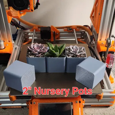 Chậu ươm đá quý đáy lưới 2 inch