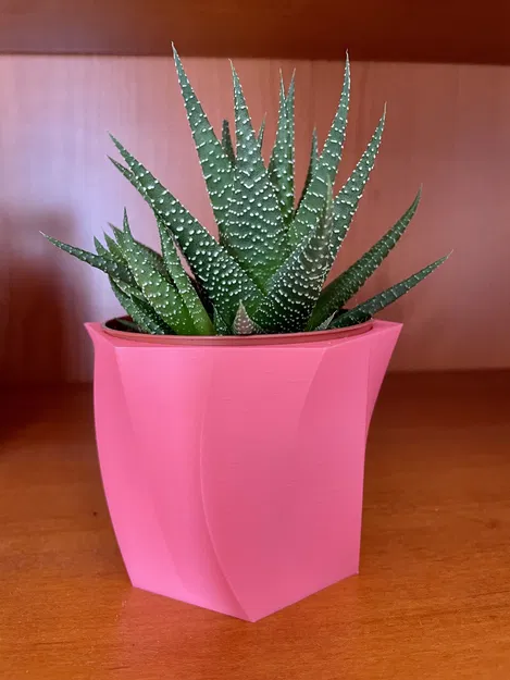 Bình hoa cong cho cây xương rồng Gasteria của Ikea - Image 3
