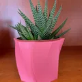 Bình hoa cong cho cây xương rồng Gasteria của Ikea - Thumbnail 3