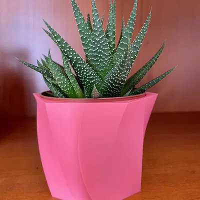 Bình hoa cong cho cây xương rồng Gasteria của Ikea