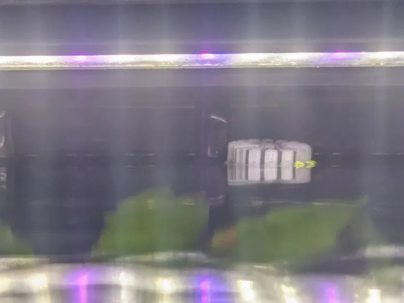 Thay thế bộ lọc bề mặt 17mm cho ống thủy tinh JARDLI - Image 3