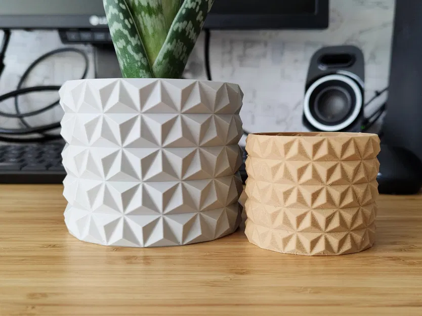 Chậu cây xương rồng thiết kế hiện đại cho cây trồng - Image 1