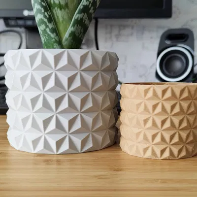 Chậu cây xương rồng thiết kế hiện đại cho cây trồng