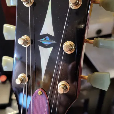 Nắp cần điều chỉnh cho đàn guitar Harley Benton SC-550 II