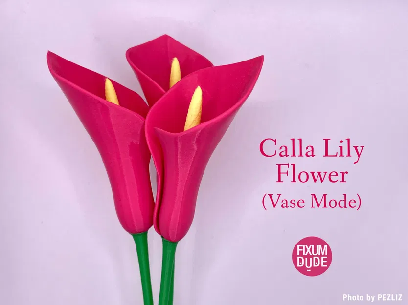 Hoa Calla Lily chế tác từ chế độ bình đơn giản - Image 2