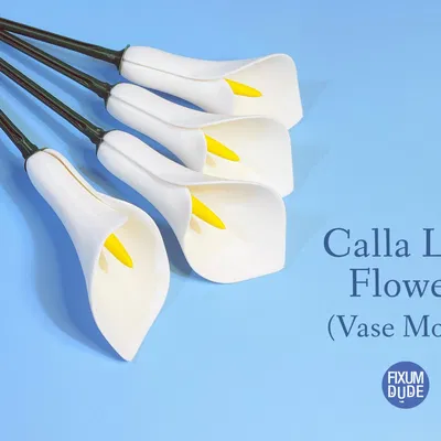 Hoa Calla Lily chế tác từ chế độ bình đơn giản