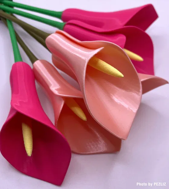 Hoa Calla Lily chế tác từ chế độ bình đơn giản - Image 4