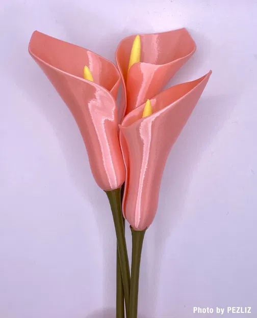Hoa Calla Lily chế tác từ chế độ bình đơn giản - Image 6