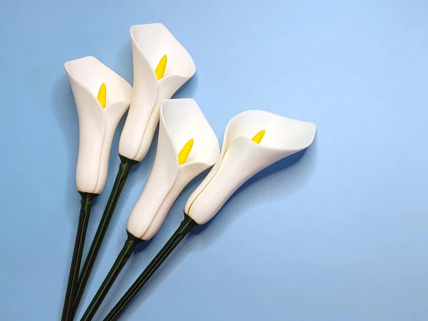 Hoa Calla Lily chế tác từ chế độ bình đơn giản - Image 7