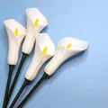 Hoa Calla Lily chế tác từ chế độ bình đơn giản - Thumbnail 7