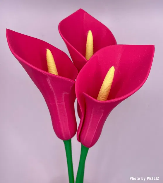 Hoa Calla Lily chế tác từ chế độ bình đơn giản - Image 8