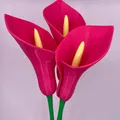 Hoa Calla Lily chế tác từ chế độ bình đơn giản - Thumbnail 8