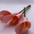Hoa Calla Lily chế tác từ chế độ bình đơn giản - Thumbnail 9