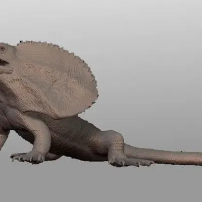 Tượng thạch lizard có mào rực rỡ