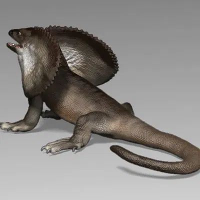 Tượng thạch lizard có mào rực rỡ