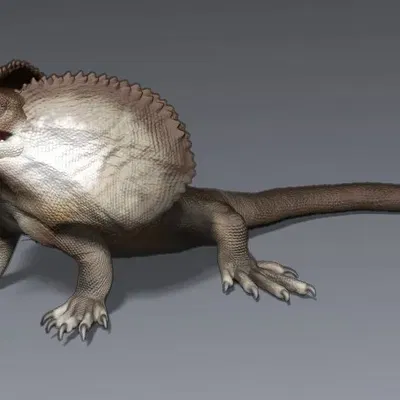 Tượng thạch lizard có mào rực rỡ