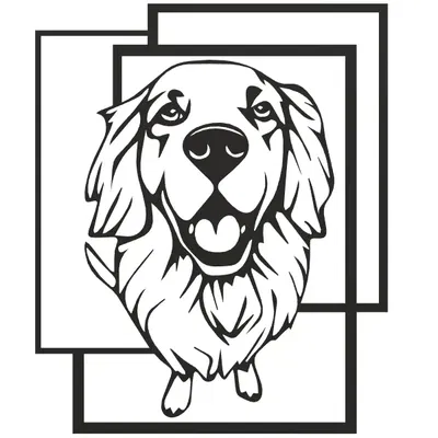 Chó Golden Retriever mô hình 3D trang trí tường