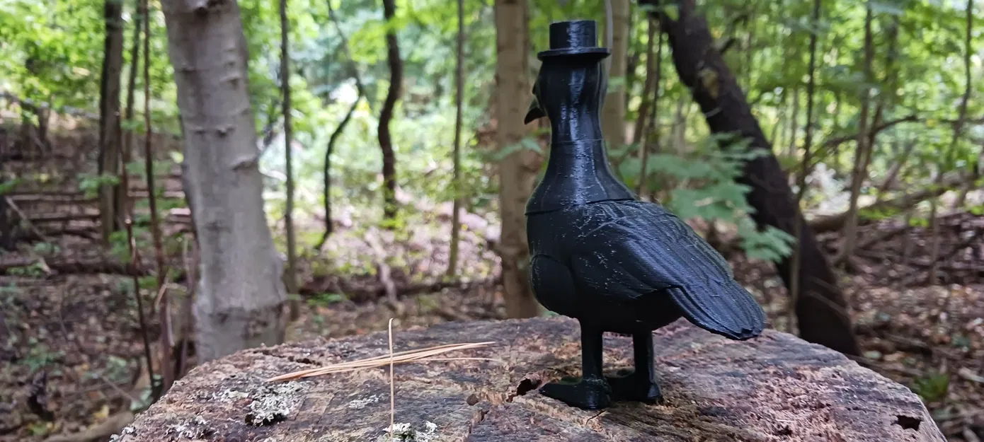 Ngỗng bác sĩ dịch tễ Canada trong trang phục đáng sợ - Image 2