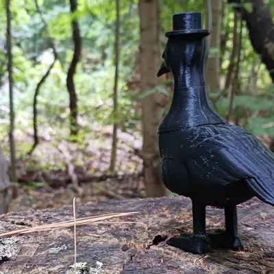 Ngỗng bác sĩ dịch tễ Canada trong trang phục đáng sợ