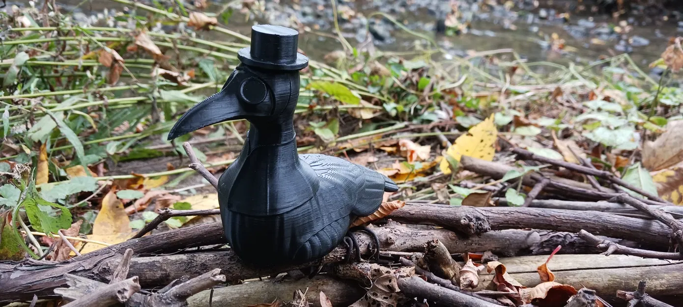 Ngỗng bác sĩ dịch tễ Canada trong trang phục đáng sợ - Image 3