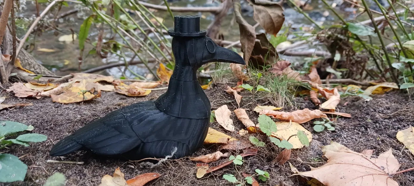 Ngỗng bác sĩ dịch tễ Canada trong trang phục đáng sợ - Image 5