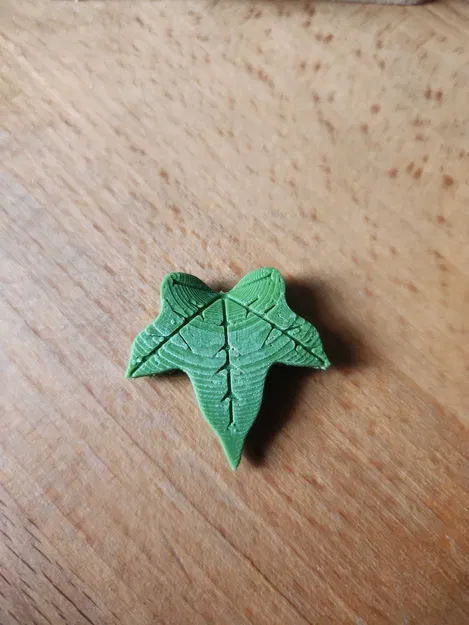 Cài áo lá thường xuân trang trí cho câu lạc bộ trẻ em - Image 1