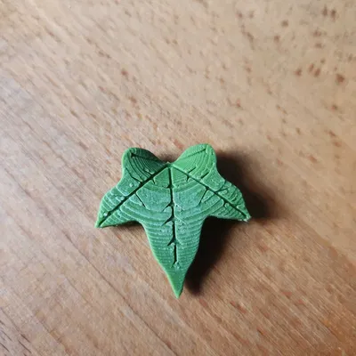 Cài áo lá thường xuân trang trí cho câu lạc bộ trẻ em