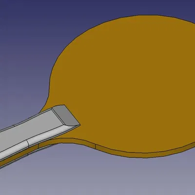 Vợt bóng bàn cổ điển với thiết kế tùy chỉnh