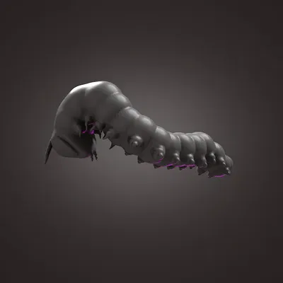 Sâu bướm dễ thương trong mô hình 3D