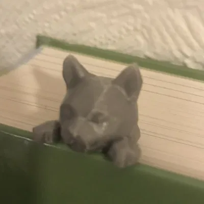 Dấu sách mèo dễ thương nhìn qua trang sách yêu thích của bạn