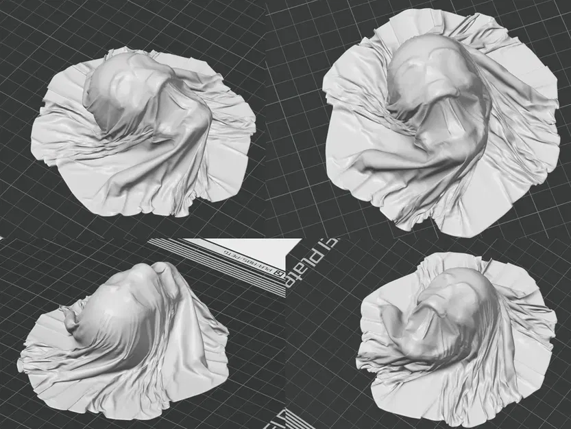 Đầu lâu che phủ vải xoắn đầy bí ẩn - Image 2