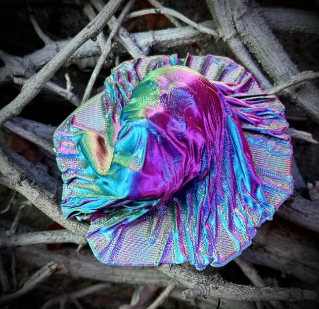 Đầu lâu che phủ vải xoắn đầy bí ẩn - Image 3