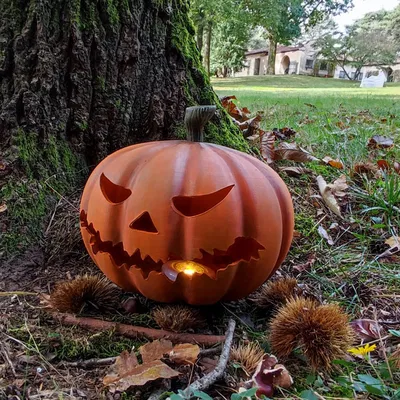 Đèn bí ngô Halloween in 3D với lỗ đặt nến LED