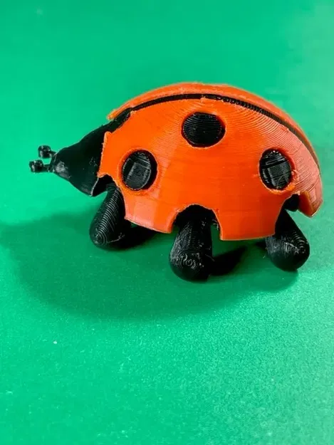 Bọ rùa với cánh có thể gắn và chân di chuyển - Image 2