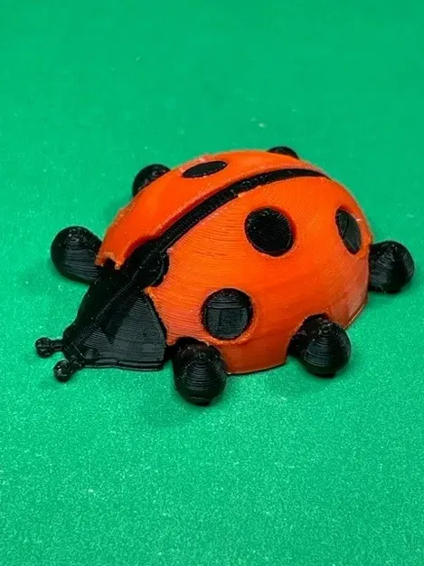 Bọ rùa với cánh có thể gắn và chân di chuyển - Image 3