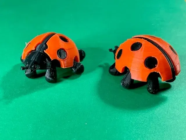 Bọ rùa với cánh có thể gắn và chân di chuyển - Image 4