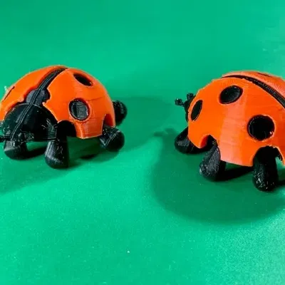 Bọ rùa với cánh có thể gắn và chân di chuyển