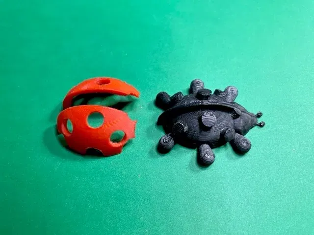 Bọ rùa với cánh có thể gắn và chân di chuyển - Image 8