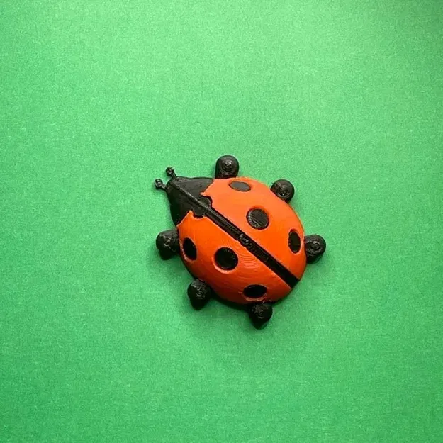 Bọ rùa với cánh có thể gắn và chân di chuyển - Image 9