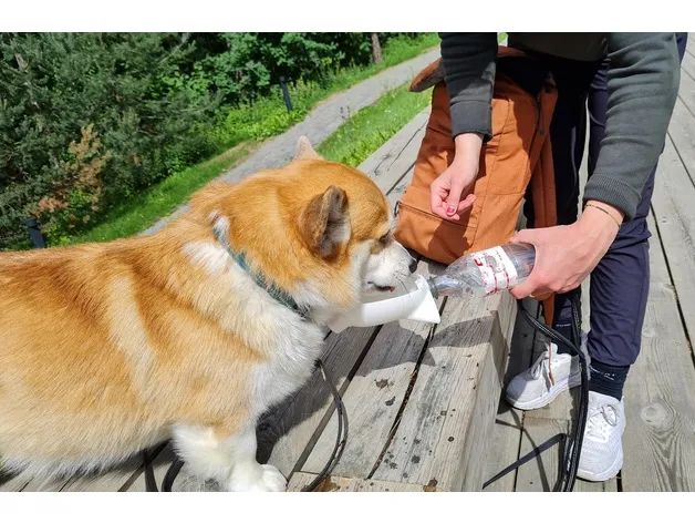 Bát uống nước không tràn cho thú cưng Pet Sipper - Image 5