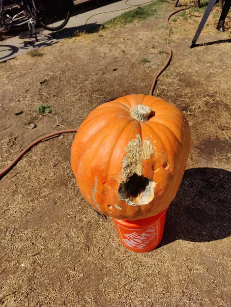 Quả bí ngô Jack-O-Lantern được quét 3D thực tế - Image 6